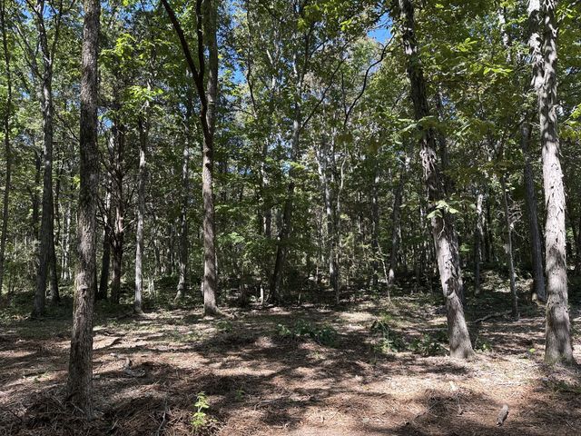 0 Atkinson Rd, Lebanon, TN 37090