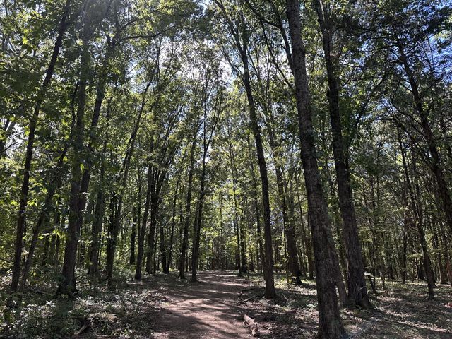 0 Atkinson Rd, Lebanon, TN 37090