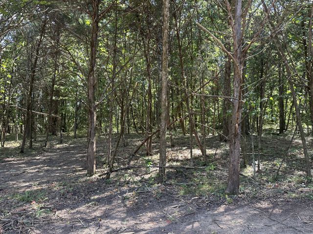 0 Atkinson Rd, Lebanon, TN 37090