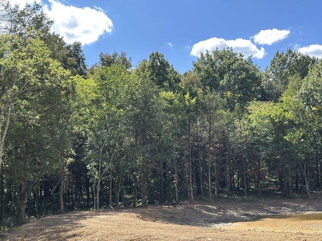 0 Atkinson Rd, Lebanon, TN 37090