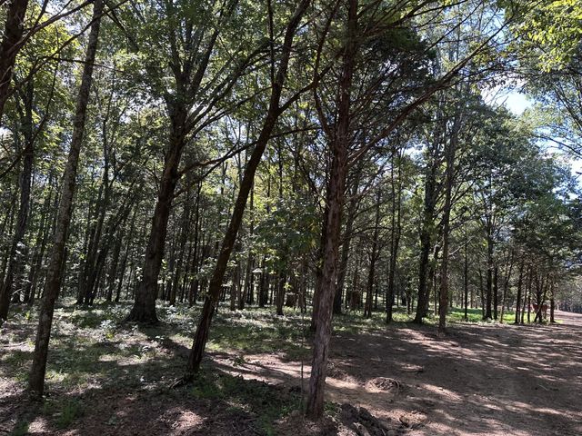 0 Atkinson Rd, Lebanon, TN 37090