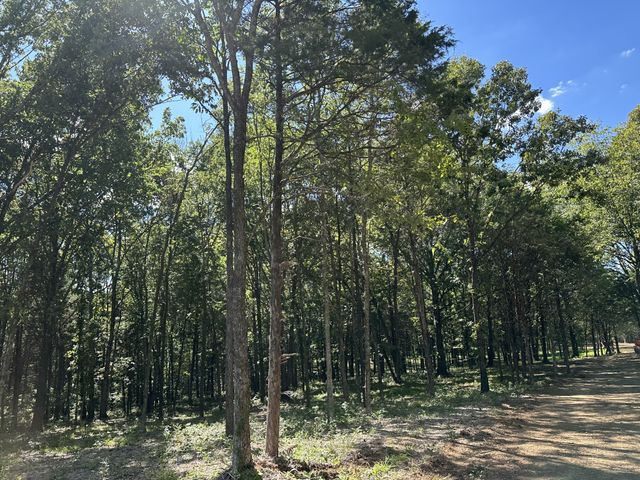 0 Atkinson Rd, Lebanon, TN 37090