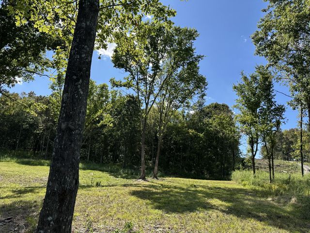 0 Atkinson Rd, Lebanon, TN 37090
