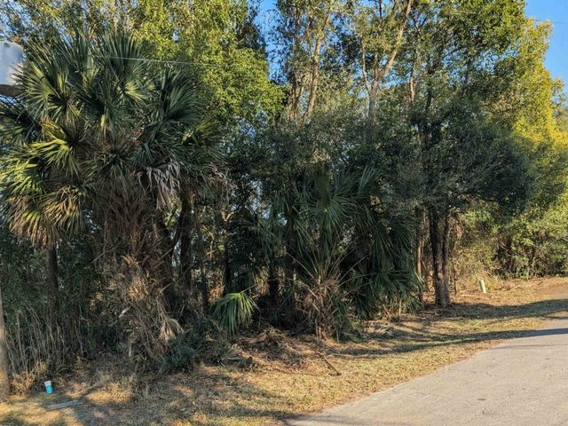 4 Corning Ct, Palm Coast, FL 32137