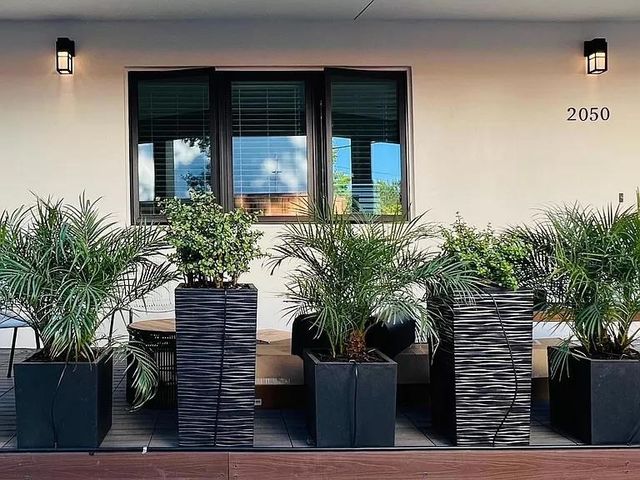 2050 Williams Street, Palo Alto, CA 94306