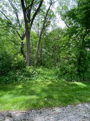 Lot 65,66,&64 Main Street, Spring Grove, IL 60081