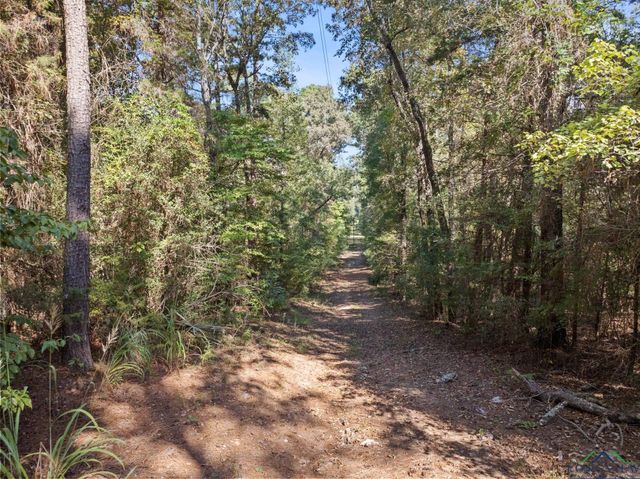 9810 N FM 161, Naples, TX 75568