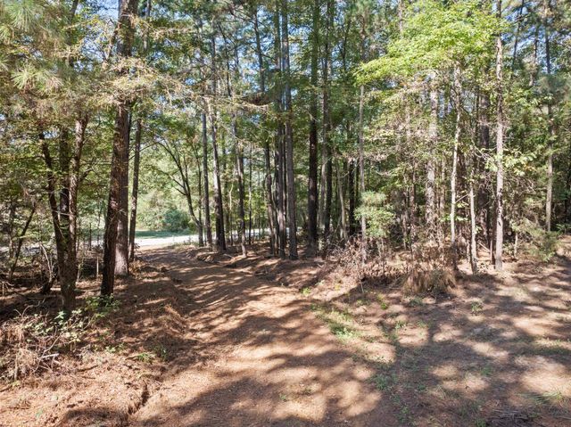 9810 N FM 161, Naples, TX 75568