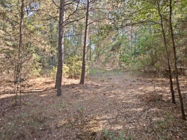 9810 N FM 161, Naples, TX 75568