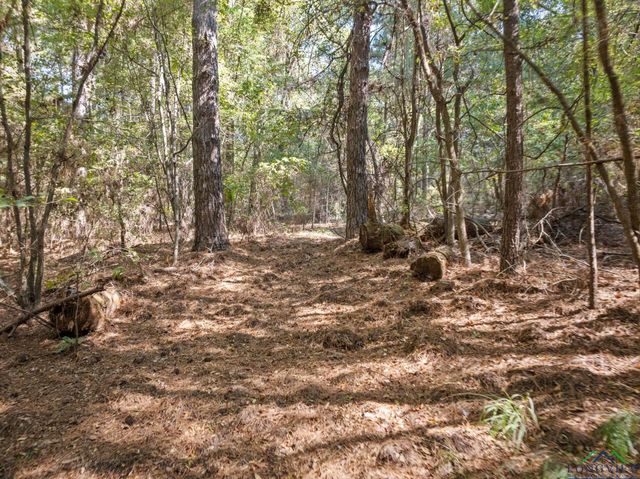 9810 N FM 161, Naples, TX 75568