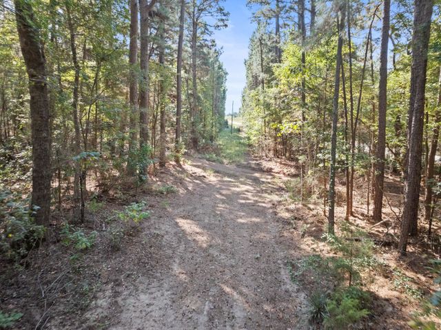 9810 N FM 161, Naples, TX 75568