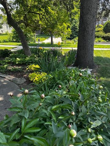 2138 W 109th Street, Chicago, IL 60643