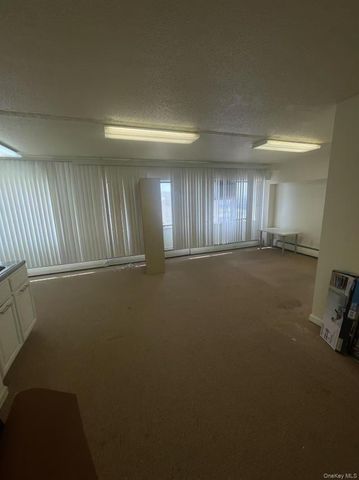 33-70 Prince Street 808, Flushing, NY 11354