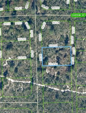 848 Ebbtide Avenue, Lake Placid, FL 33852