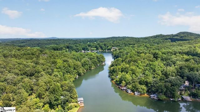187 Caledonia Road, Landrum, SC 29356