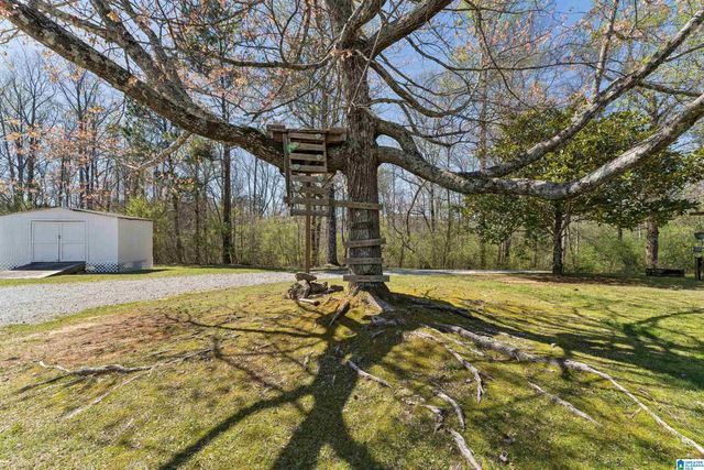 9576 CENTRAL ROAD, Warrior, AL 35180