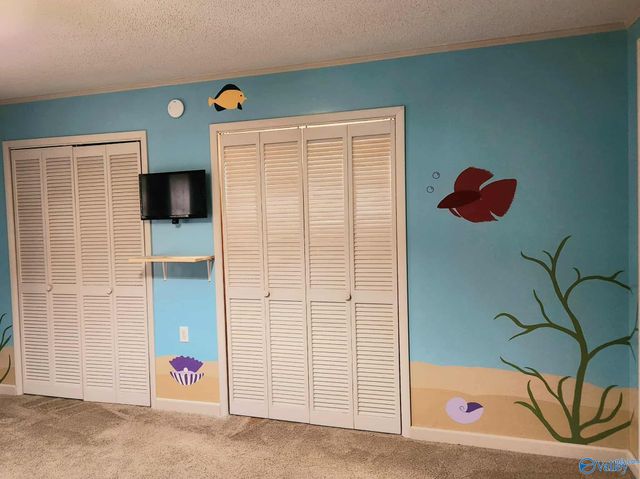 388 Welcome Falls Road, Eva, AL 35621