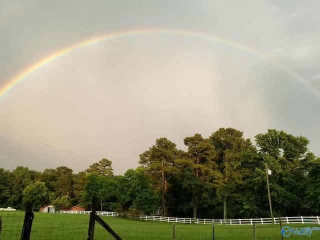 388 Welcome Falls Road, Eva, AL 35621