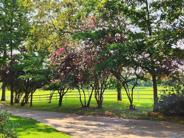 388 Welcome Falls Road, Eva, AL 35621