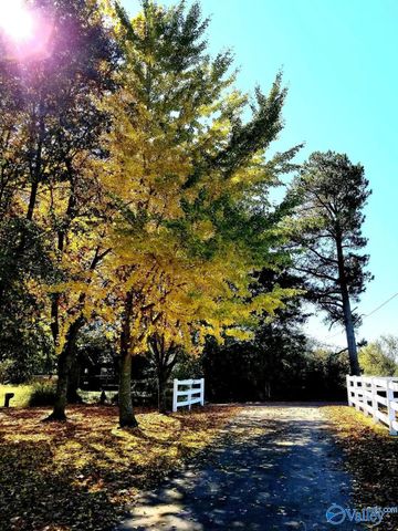 388 Welcome Falls Road, Eva, AL 35621