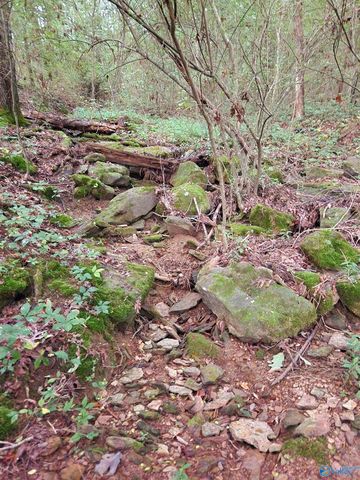 388 Welcome Falls Road, Eva, AL 35621