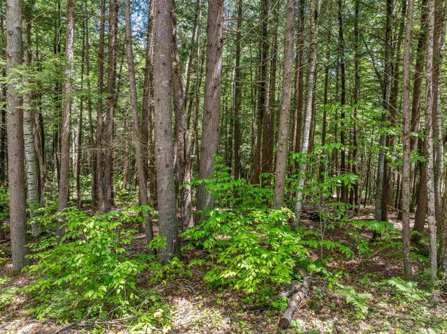 47 Forest Pond Road, New Hampton, NH 03256