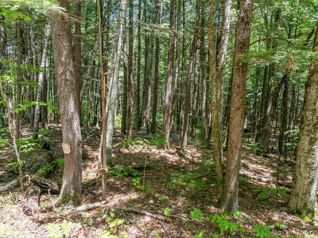47 Forest Pond Road, New Hampton, NH 03256