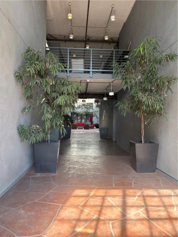 420 S San Pedro St Apt 226 Los Angeles Ca, Los Angeles, CA 90013