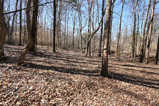 0 Highway 128, Clifton, TN 38425