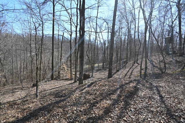 0 Highway 128, Clifton, TN 38425