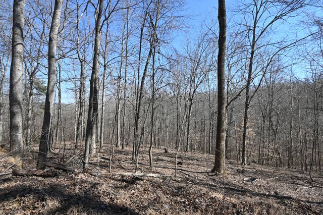 0 Highway 128, Clifton, TN 38425