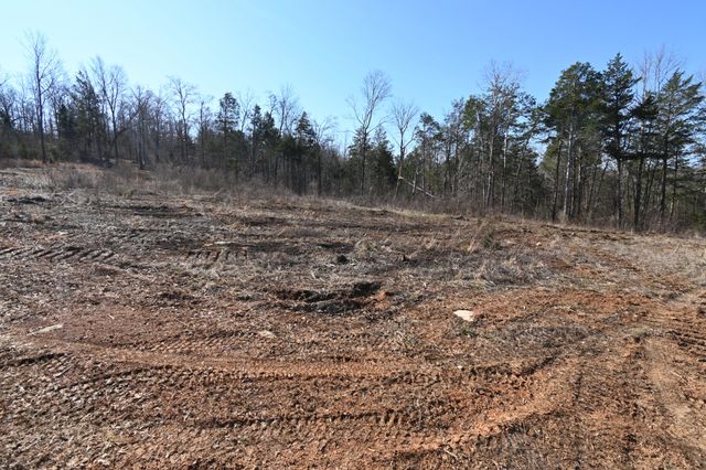 0 Highway 128, Clifton, TN 38425