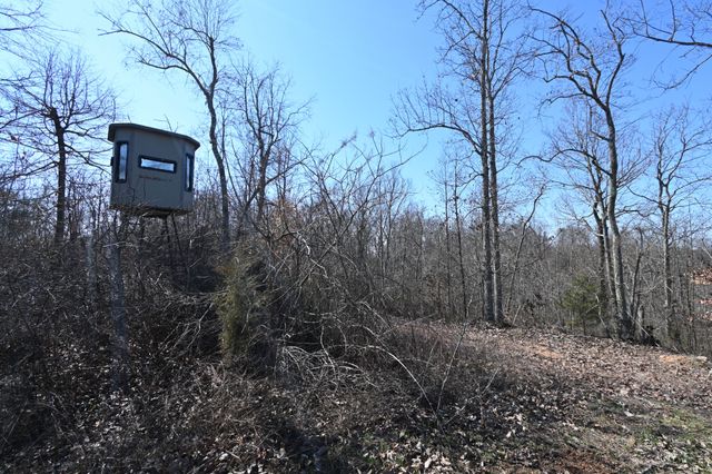 0 Highway 128, Clifton, TN 38425