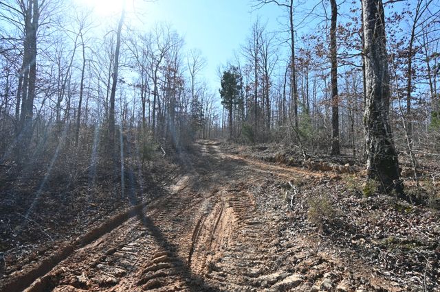 0 Highway 128, Clifton, TN 38425