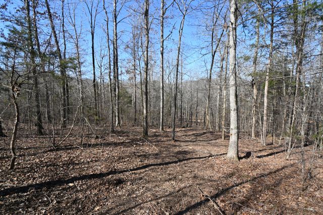 0 Highway 128, Clifton, TN 38425