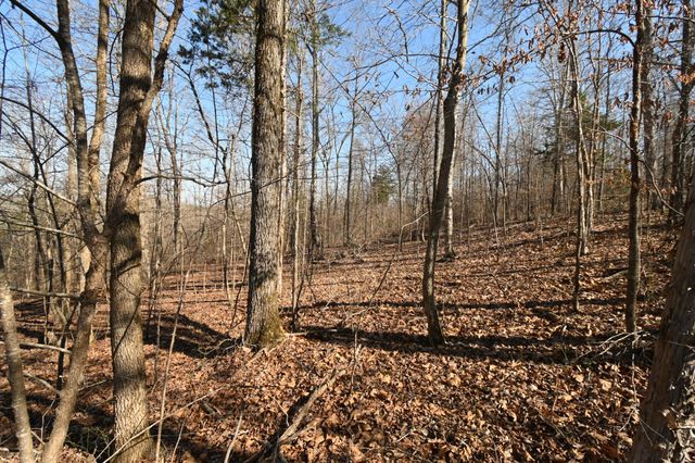 0 Highway 128, Clifton, TN 38425