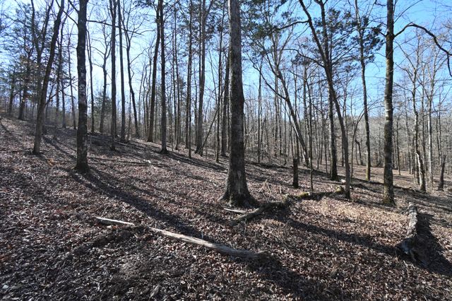 0 Highway 128, Clifton, TN 38425