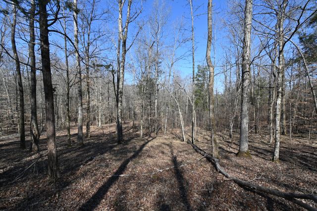 0 Highway 128, Clifton, TN 38425