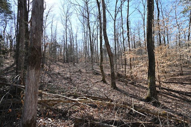 0 Highway 128, Clifton, TN 38425