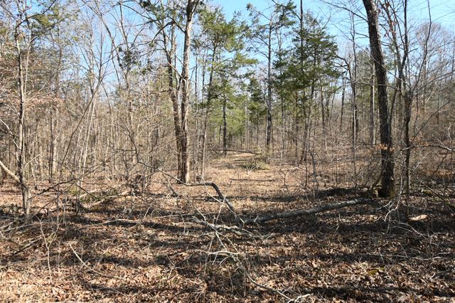 0 Highway 128, Clifton, TN 38425