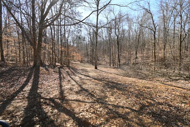 0 Highway 128, Clifton, TN 38425