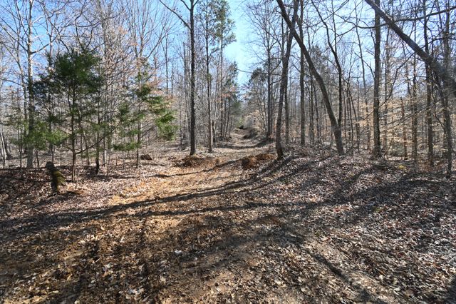 0 Highway 128, Clifton, TN 38425