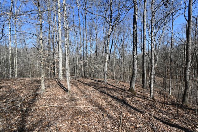 0 Highway 128, Clifton, TN 38425