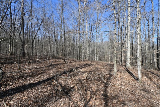 0 Highway 128, Clifton, TN 38425