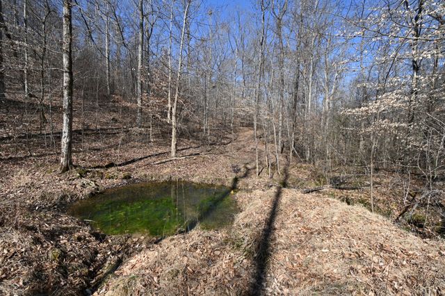 0 Highway 128, Clifton, TN 38425