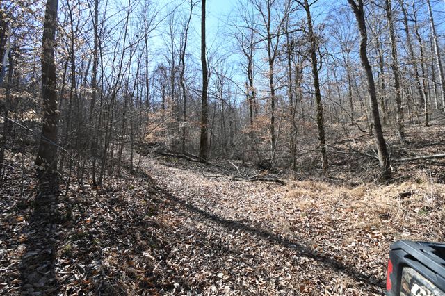 0 Highway 128, Clifton, TN 38425