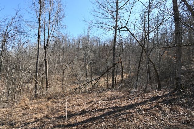 0 Highway 128, Clifton, TN 38425