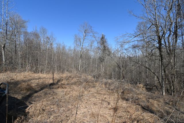 0 Highway 128, Clifton, TN 38425