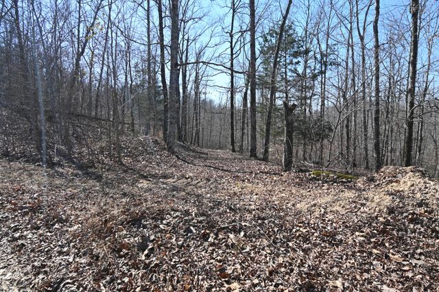 0 Highway 128, Clifton, TN 38425