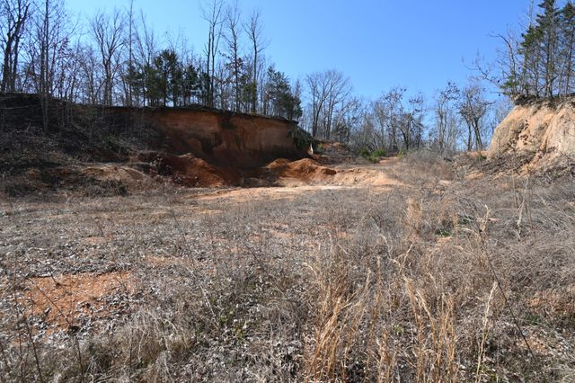 0 Highway 128, Clifton, TN 38425